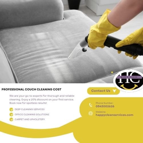 professional couch cleaning cost