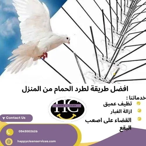 افضل طريقة لطرد الحمام من المنزل